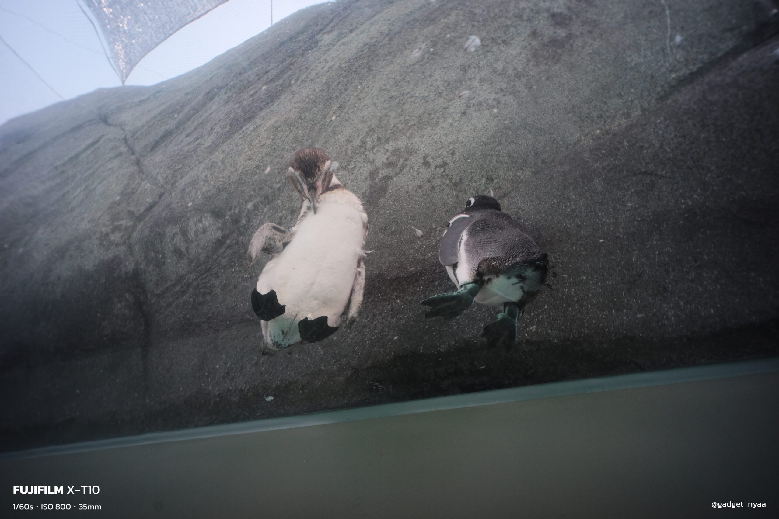 デジタル写ルンです用レンズはWtulens Lに限る｜Fujiで切り撮る