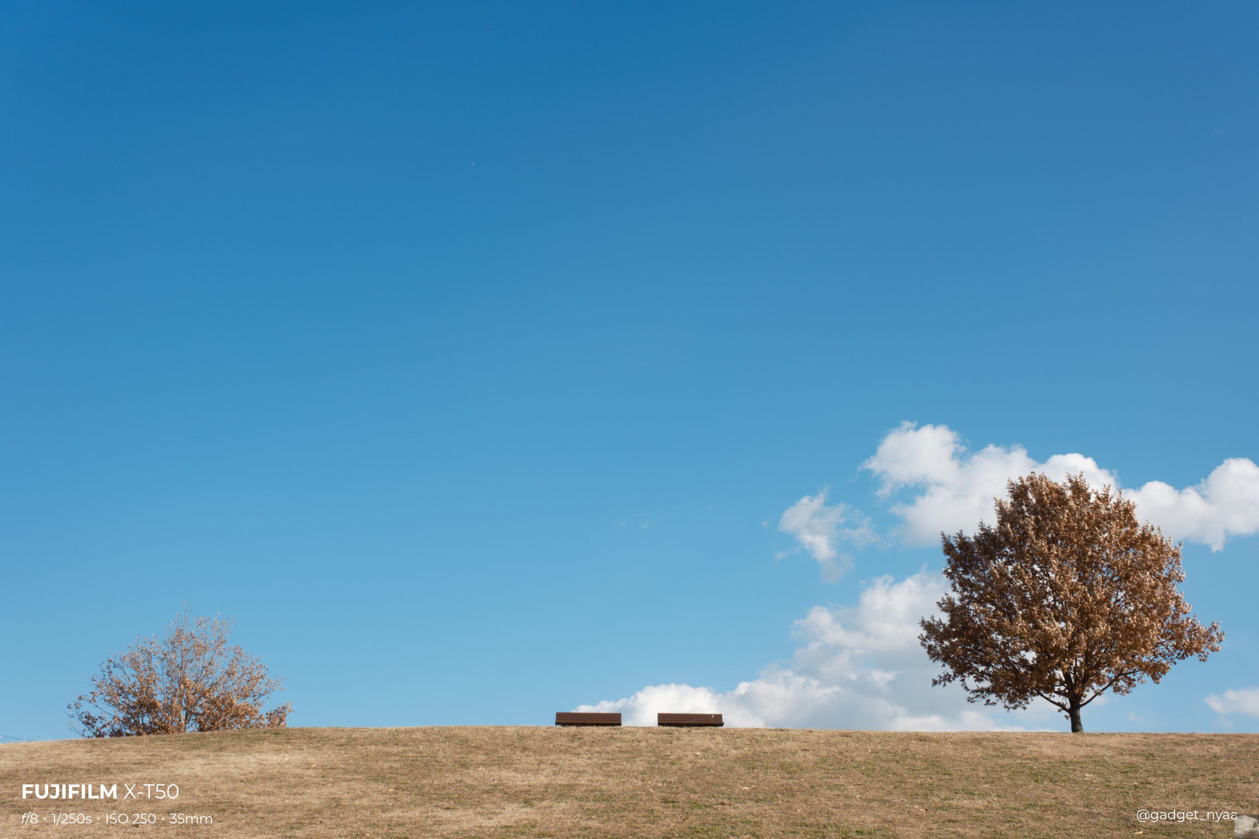 作例あり】NOKTON 23mm F1.2とUltron 27mm F2の使い分け|Fujiで 作例あり】NOKTON 23mm F1.2とUltron 27mm F2の使い分け|Fujiで